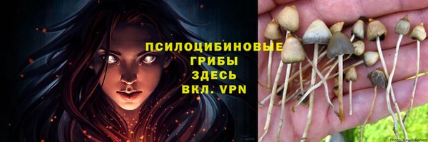 ALPHA PVP Вяземский