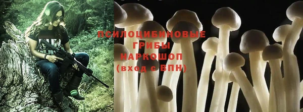 ALPHA PVP Вяземский